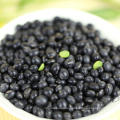 Wholesale Agriculture Products high quality black beans